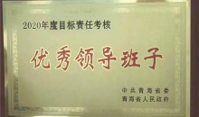 青海省红十字会荣获2020年度全省目标责任（绩效）考核优秀领导班子